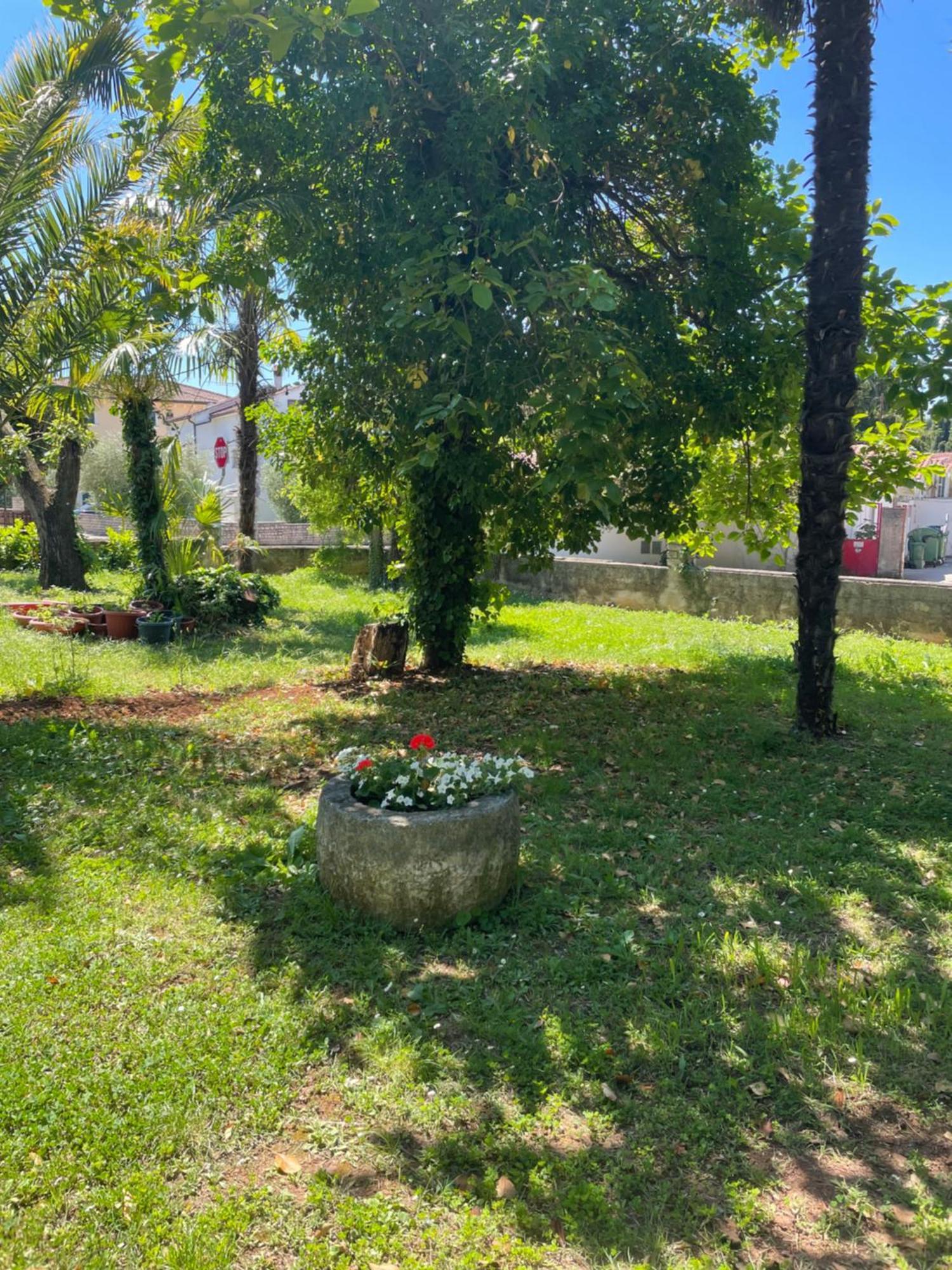 Apartments Bloom Near The Beach Poreč Exterior foto